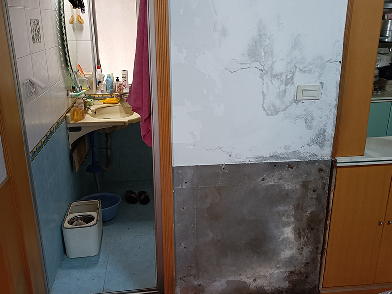 神宮天巧教您如何解決墻面發霉現象？(圖4)